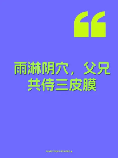 雨淋阴穴，父兄共侍三皮膜 封面