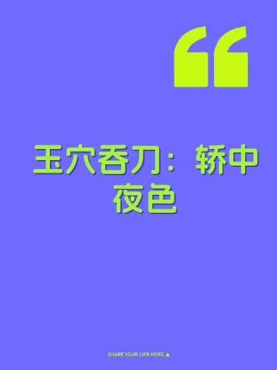 玉穴吞刀：轿中夜色 封面