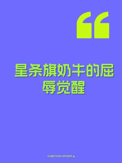 星条旗奶牛的屈辱觉醒