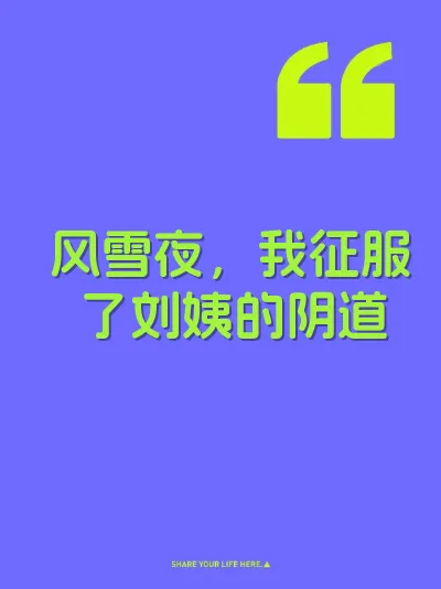 风雪夜，我征服了刘姨的阴道 封面