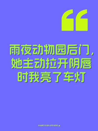 雨夜动物园后门，她主动拉开阴唇时我亮了车灯 封面