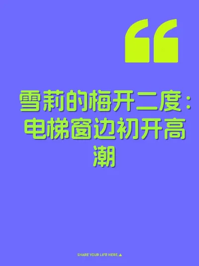 雪莉的梅开二度：电梯窗边初开高潮 封面