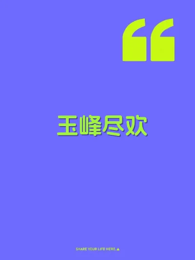 玉峰尽欢 封面