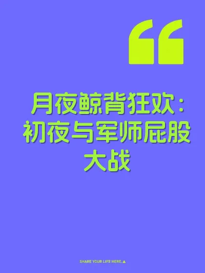 月夜鲸背狂欢：初夜与军师屁股大战 封面