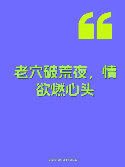 老穴破荒夜，情欲燃心头 封面