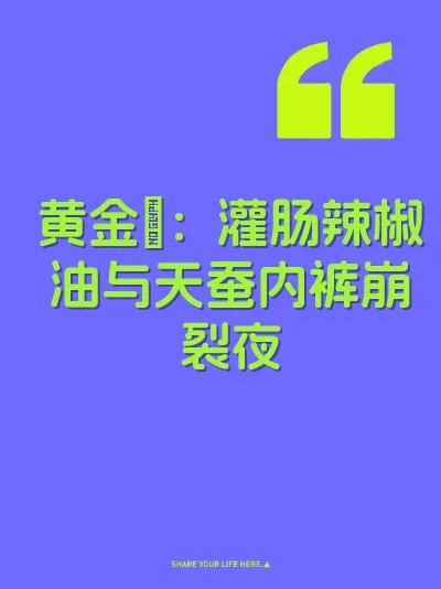 黄金屄：灌肠辣椒油与天蚕内裤崩裂夜 封面