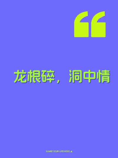 龙根碎，洞中情 封面