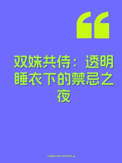 双姝共侍：透明睡衣下的禁忌之夜 封面