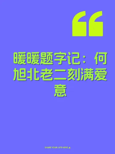 暖暖题字记：何旭北老二刻满爱意 封面