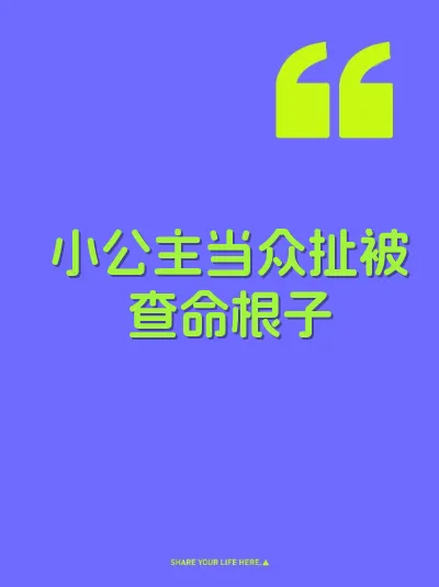小公主当众扯被查命根子 封面