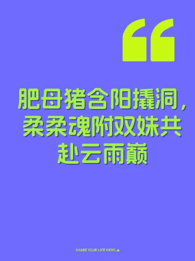 肥母猪含阳撬洞，柔柔魂附双姝共赴云雨巅 封面