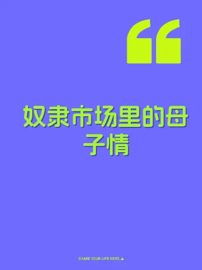 奴隶市场里的母子情 封面