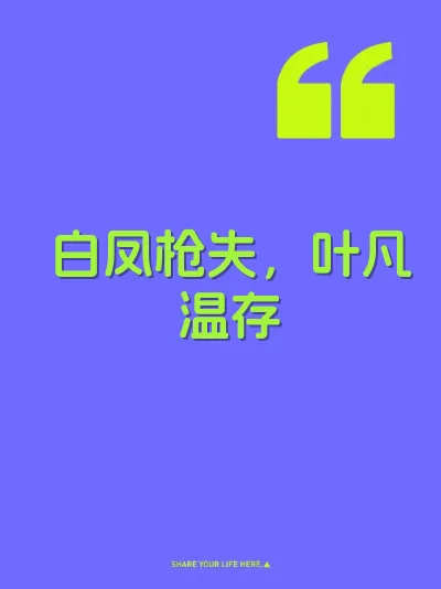 白凤枪失，叶凡温存 封面