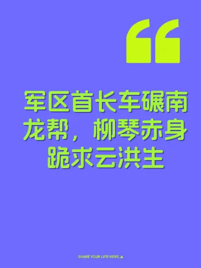 军区首长车碾南龙帮，柳琴赤身跪求云洪生 封面