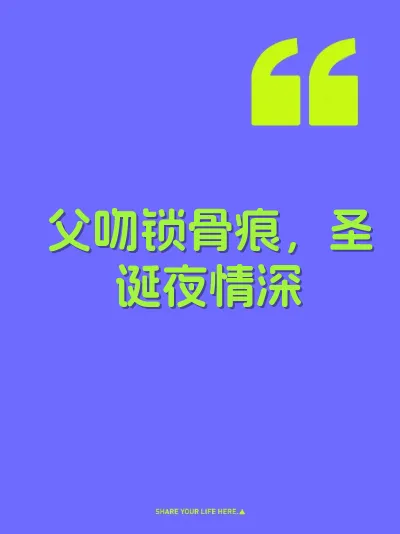 父吻锁骨痕，圣诞夜情深 封面