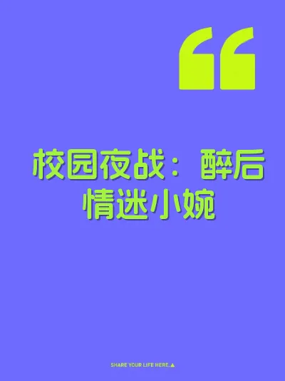 校园夜战：醉后情迷小婉 封面