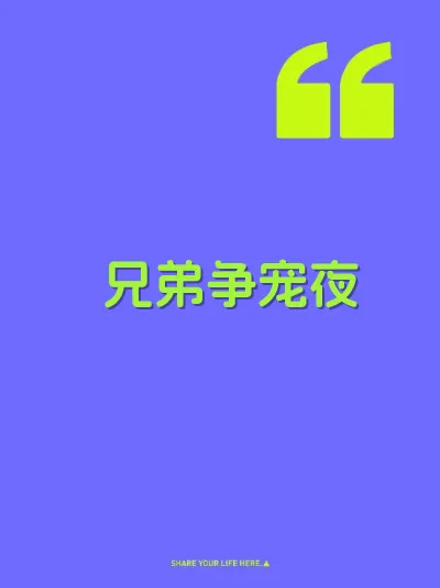 兄弟争宠夜 封面