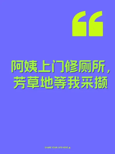 阿姨上门修厕所，芳草地等我采撷 封面