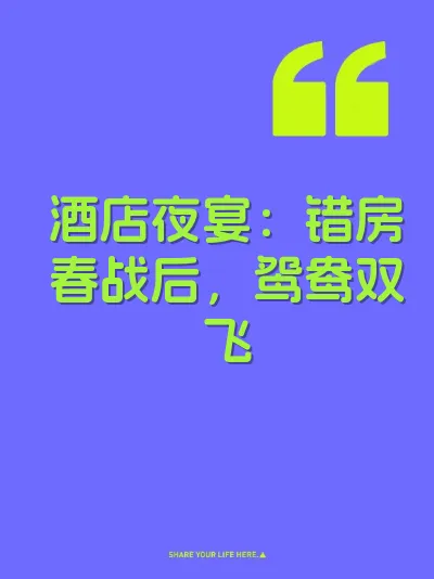 酒店夜宴：错房春战后，鸳鸯双飞 封面