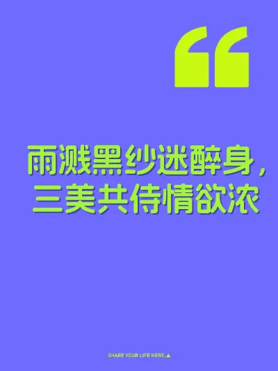 雨溅黑纱迷醉身，三美共侍情欲浓 封面