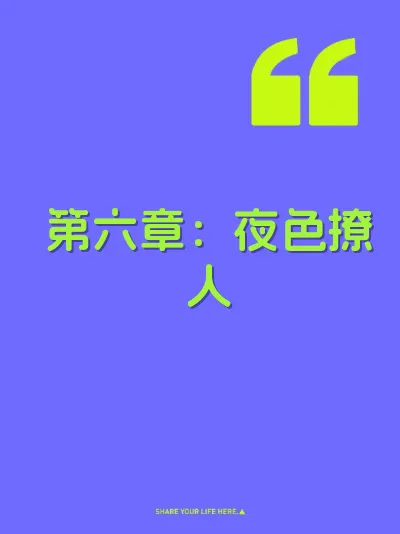 第六章：夜色撩人 封面