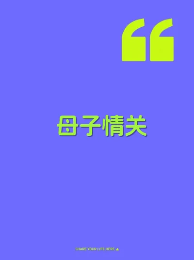 母子情关 封面