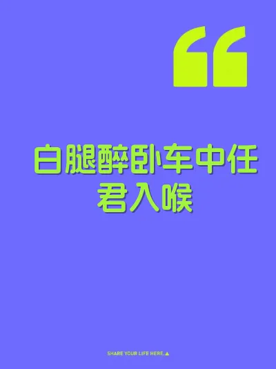 白腿醉卧车中任君入喉 封面