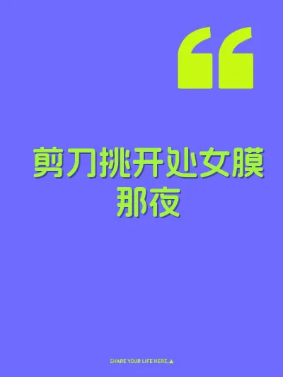 剪刀挑开处女膜那夜 封面