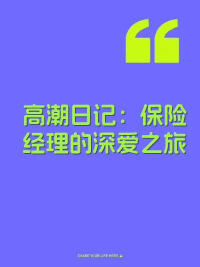 高潮日记：保险经理的深爱之旅 封面