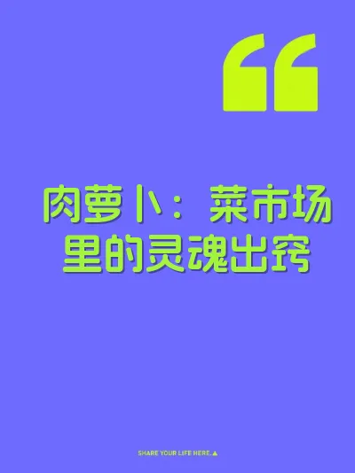 肉萝卜：菜市场里的灵魂出窍 封面