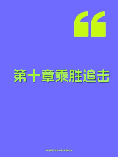 第十章乘胜追击 封面