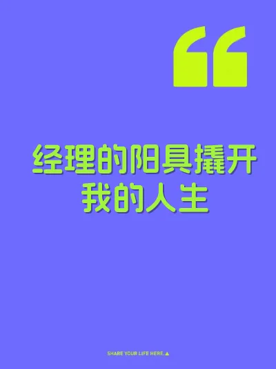 经理的阳具撬开我的人生 封面