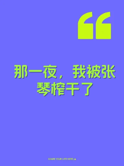 那一夜，我被张琴榨干了 封面