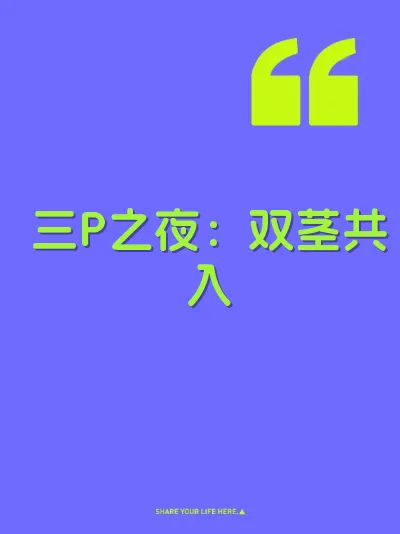 三P之夜：双茎共入 封面