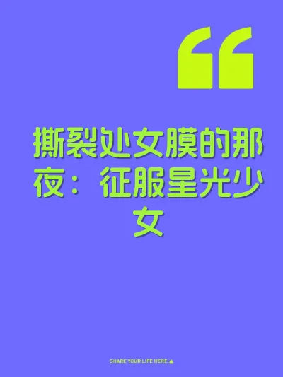 撕裂处女膜的那夜：征服星光少女 封面