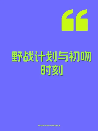 野战计划与初吻时刻 封面