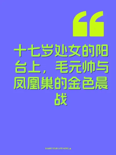 十七岁处女的阳台上，毛元帅与凤凰巢的金色晨战 封面