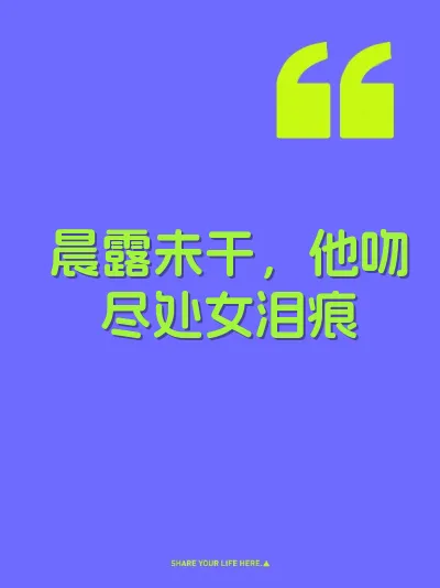 晨露未干，他吻尽处女泪痕 封面