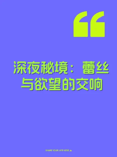 深夜秘境：蕾丝与欲望的交响 封面