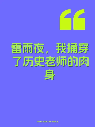 雷雨夜，我捅穿了历史老师的肉身 封面