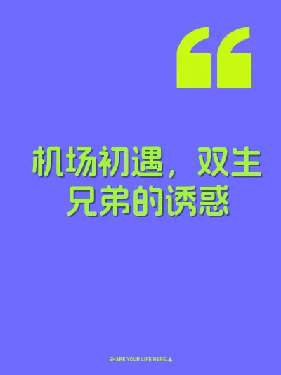 机场初遇，双生兄弟的诱惑 封面