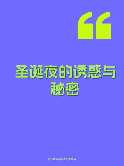 圣诞夜的诱惑与秘密 封面