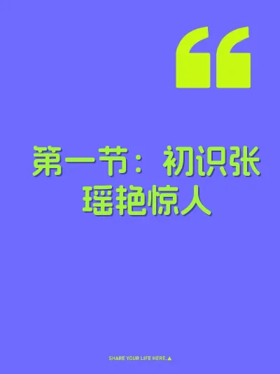 第一节：初识张瑶艳惊人 封面