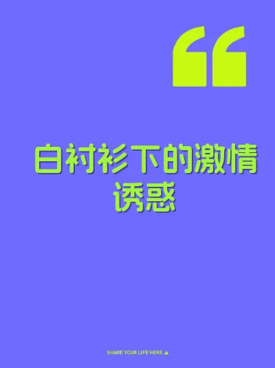 白衬衫下的激情诱惑 封面