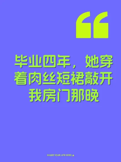 毕业四年，她穿着肉丝短裙敲开我房门那晚 封面