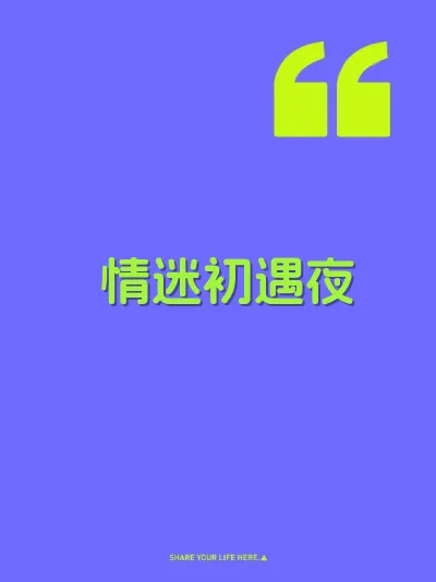 情迷初遇夜 封面