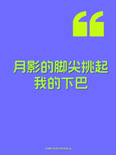 月影的脚尖挑起我的下巴 封面