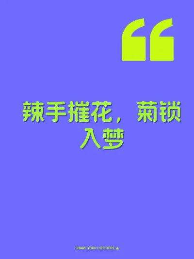 辣手摧花，菊锁入梦