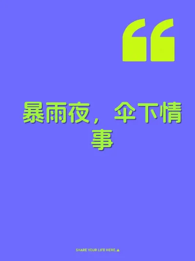 暴雨夜，伞下情事 封面