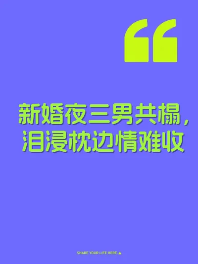 新婚夜三男共榻，泪浸枕边情难收 封面